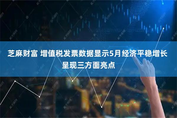 芝麻财富 增值税发票数据显示5月经济平稳增长 呈现三方面亮点
