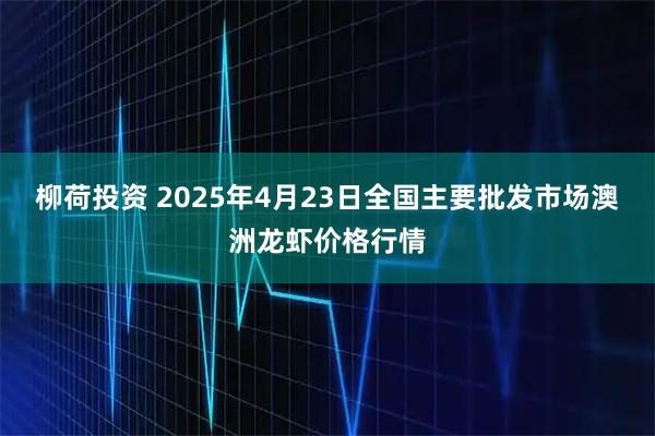 柳荷投资 2025年4月23日全国主要批发市场澳洲龙虾价格行情