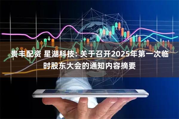 贵丰配资 星湖科技: 关于召开2025年第一次临时股东大会的通知内容摘要